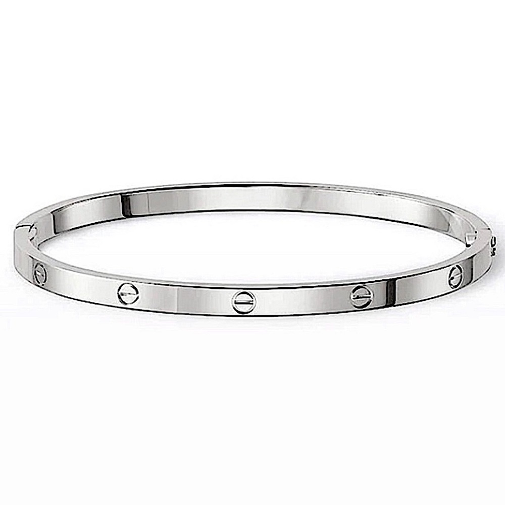 Platinum Bangle Bracelet without Stones Thin Version Stainless Steel Silver